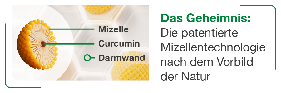 curcumin-Loges verfügt über eine besonders hohe Bioverfügbarkeit durch Mizellen-Technologie.